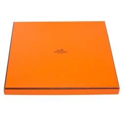 Pre Owned Hermès Blue Into The Canadian Wild Silk Scarf