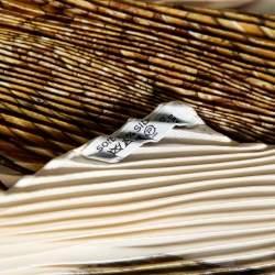 Pre Owned Hermès Cream Vendanges Printed Silk Plisse Scarf