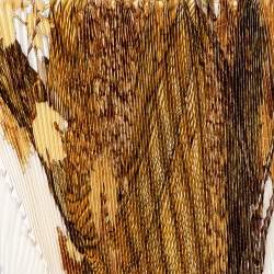 Pre Owned Hermès Cream Vendanges Printed Silk Plisse Scarf