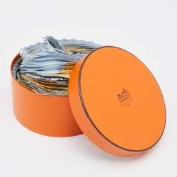 Pre Owned Hermès Blue Au Plus Dru Silk Plisse Scarf