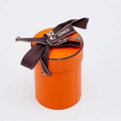 Pre Owned Hermès Green Eperon d'Or Silk Twilly