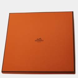 Hermès Bleu Jean Carres Volants Silk Scarf 45