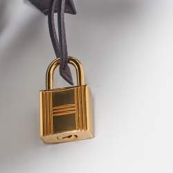 Hermes Raisin Togo Leather Gold Finish Kelly Retourne 32 Bag