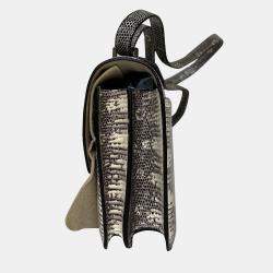 Hermes Lizard Ombre Constance Mirror 18 bag PHW