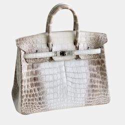 Hermes Himalaya Birkin 25 
