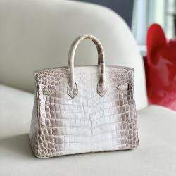 Hermes White Matte Niloticus Crocodile Himalaya Birkin 25 Handbag