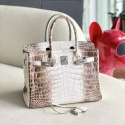 Hermes White Matte Niloticus Crocodile Himalaya Birkin 30 Handbag