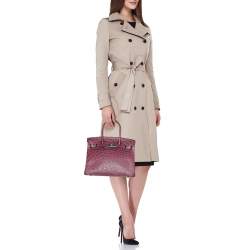 Hermes Violet Ostrich Leather Palladium Finish Birkin 30 Bag