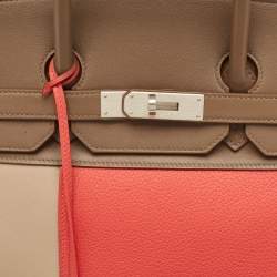 Hermes Rose Jaipur/Argile/Etoupe Taurillon Clemence and Swift Leather Brushed Palladium Finish Birkin 35 Bag