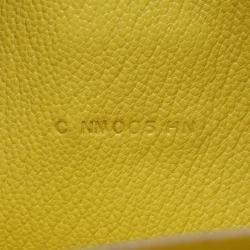 Hermes Lime Chevre Leather Clic Shoulder Bag 16 