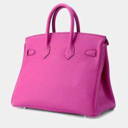Hermes Birkin 25 Magnolia Togo Leather Tote Bag