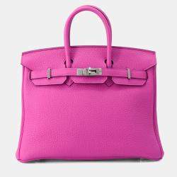 Hermes Birkin 25 Magnolia Togo Leather Tote Bag
