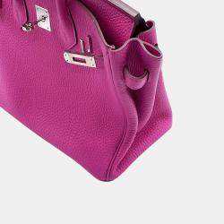 Hermes Birkin 25 Magnolia Togo Leather Tote Bag