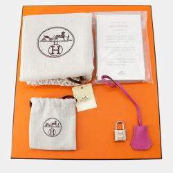 Hermes Birkin 25 Magnolia Togo Leather Tote Bag