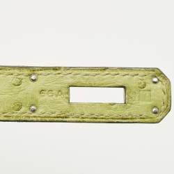 Pre Owned Hermes Vert Anis Ostrich Palladium Finish Birkin 30 Bag