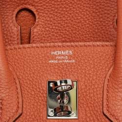 Pre Owned Hermes Terre Battue Togo Leather Palladium Finish Birkin 25 Bag