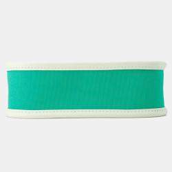 Pre Owned Hermes Neo Evelyne Menthe/Blue Azteque/Vert Fizz Toile Officier Swift Leather TPM