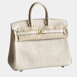 مملوكة مسبقًا Hermes Birkin 25 Gris Asphalte Matte Crocodile with Gold Hardware