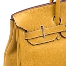 Hermes Soleil Togo Leather Palladium Hardware Birkin 35 Bag