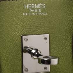 Hermes Apple Green Swift Leather Palladium Hardware Birkin 25 Bag