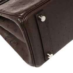 Hermes Havane Ostrich Palladium Hardware Birkin 25 Bag