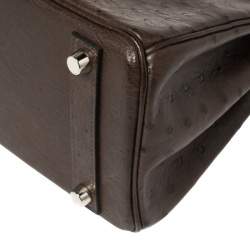 Hermes Havane Ostrich Palladium Hardware Birkin 25 Bag