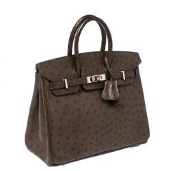 Hermes Havane Ostrich Palladium Hardware Birkin 25 Bag