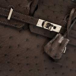 Hermes Havane Ostrich Palladium Hardware Birkin 25 Bag