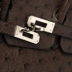 Hermes Havane Ostrich Palladium Hardware Birkin 25 Bag