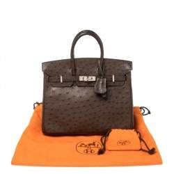 Hermes Havane Ostrich Palladium Hardware Birkin 25 Bag