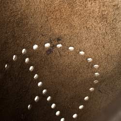 Pre Owned Hermes Etoupe Grey Taurillon Clemence Leather Evelyne III PM Bag