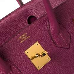 Hermes Tosca Togo Leather Gold Hardware Birkin 30 Bag