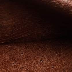 Pre Owned Hermes Noisette Ostrich Leather Bearn Gusset Wallet