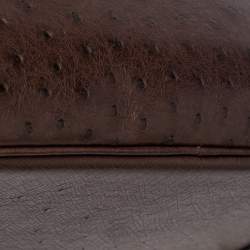 Hermes Chocolate Ostrich Gold Finish Birkin 30 Bag