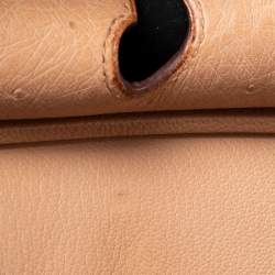 Hermes Tabac Camel Ostrich Palladium Plated Birkin 30 Bag
