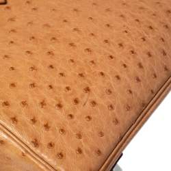 Hermes Tabac Camel Ostrich Palladium Plated Birkin 30 Bag