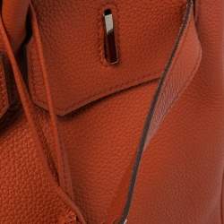 Hermes Terre Battue Togo Leather Palladium Plated Birkin 35 Bag