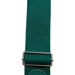 Pre Owned Hermes Vert Bengale Epsom Leather Evelyne III GM Bag