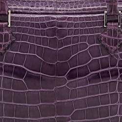 Pre Owned Hermes Amethyst Shiny Alligator Plume Elan 22 Bag