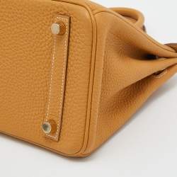 Hermes Natural Sable Togo Leather Gold Hardware Birkin 25 Bag