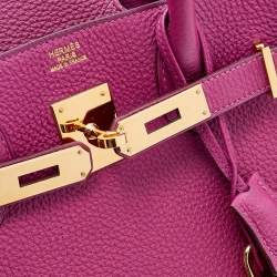 Hermes Tosca Togo Leather Gold Hardware Birkin 30 Bag