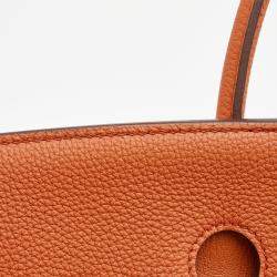Hermes Capucine Togo Leather Palladium Finish Birkin 35 Bag