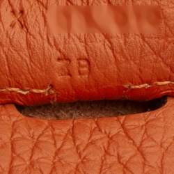 Hermes Feu Togo Leather Evelyne III PM Bag