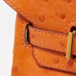 Pre Owned Hermes Orange Ostrich Gold Finish Birkin 25 Bag