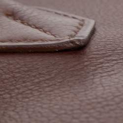 Hermes Havane Evercolor Leather Palladium Finish Birkin 35 Bag