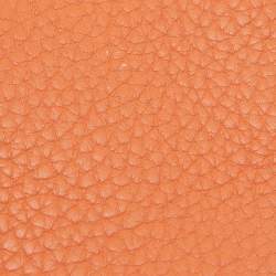 Hermes Feu Taurillon Clemence Palladium Finish Birkin 35 Bag