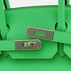 Hermes Vert Comic Togo Birkin Handbag