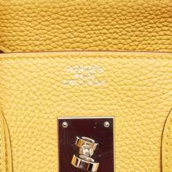 Hermes Soleil Togo Leather Palladium Finish Birkin 35 Bag