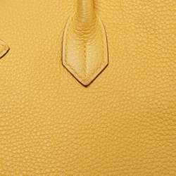 Hermes Soleil Togo Leather Palladium Finish Birkin 35 Bag