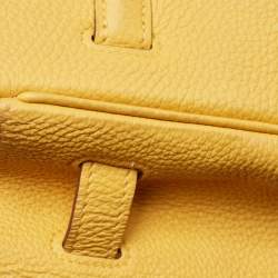 Hermes Soleil Togo Leather Palladium Finish Birkin 35 Bag